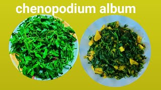 Chenopodium album recipeEasy and tasty chenopodium album recipeबेथुको साग पकाउने सजिलो तरीका [upl. by Damalas]