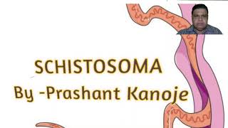 Schistosoma Life Cycle Of Schistosoma । Schistosomiasis ।।By  Prashant Kanoje [upl. by Idrahs]