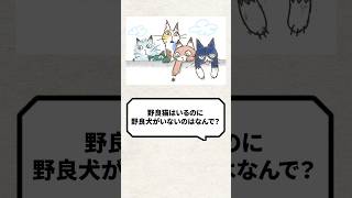 Q：野良猫はいるのに野良犬がいないのはなんで？ 猫 犬 ねこ [upl. by Phebe]