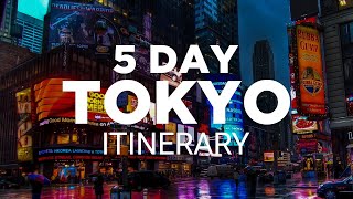 Tokyo FiveDay Itinerary  Your Perfect Travel Guide For a 5 Day Trip [upl. by Annovahs]