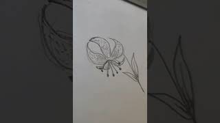 이름 모를 꽃 그리기 Flowey drawing [upl. by Aziza]