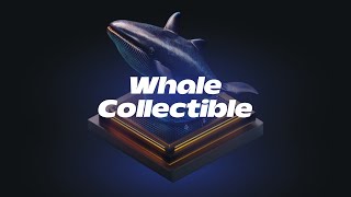 Swim with the Whales Understanding Cryptos Big Players [upl. by Modesta]