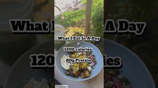 Vegetarian One Meal A Day Plan 1200 calories 80 grams Protein [upl. by Portia]