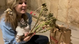 Checking my Zonal Geraniums I overwintered in paper bags no rot or mold but I do have some blooms🥰 [upl. by Caron]