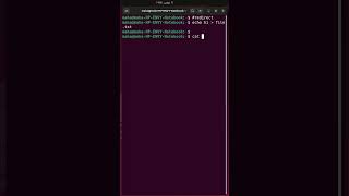 Linux redirect command line output [upl. by Davin]