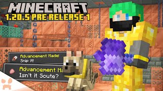 HUGE MACE NERF Update Done New Chambers  Minecraft 1205 Pre Release 1 [upl. by Cj]