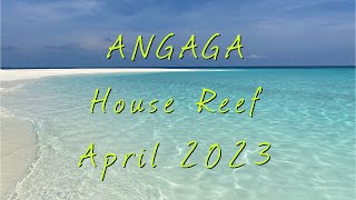 Angaga Islands House Reef  Maldives  April 2023 [upl. by Anidem]