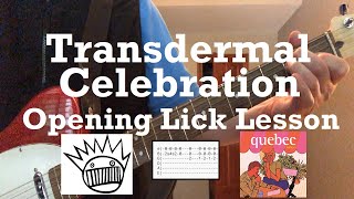 Ween  Transdermal Celebration  Guitar Lesson Intro  Guitar Tab [upl. by Tonjes]