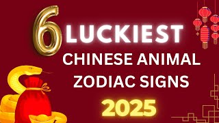 Chinese Zodiac 2025 Rat Year Forecast What’s Coming [upl. by Luiza]