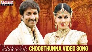 Choosthunna Song  Mogudu Video Songs  Gopichand Taapsee [upl. by Constance]