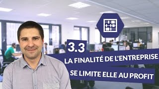 Chapitre 3  Quelles sont les finalités de lentreprise   Management Bac STMG  digiSchool [upl. by Litt]