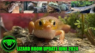 REPTILE ROOM UPDATE JUNE 2024 Pt 12 [upl. by Eiggep271]