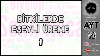 16 Bitkisel Dokular 2 [upl. by Gunilla188]