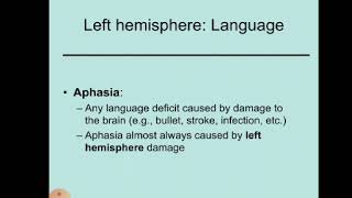 physiology Speech amp Aphasia [upl. by Arette]