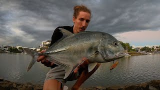 I Fished This Lure Everyday For A Week  Gold Coast Land Based Fishing  Mangrove Jacks amp GT [upl. by Ohce]