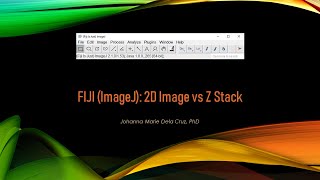 FIJI ImageJ 2D Image vs Z Stack [upl. by Merissa]