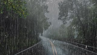 Sonido de Lluvia para Calmar Mente y Dormir Profundamente en 5 Minutos  Ruido de Lluvia en Bosque [upl. by Llemhar499]