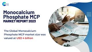 Monocalcium Phosphate MCP Market Report 2023  Forecast Market Size amp Growth [upl. by Malim849]