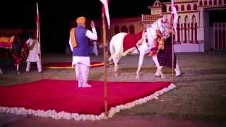 JAIPUR FESTIVAL DU CHEVAL QUI DANSE INDIA 2014 RAJASTHAN [upl. by Justen]