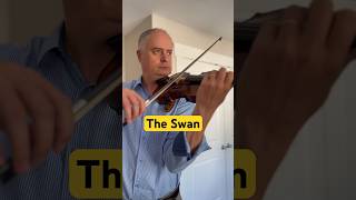 SaintSaëns The Swan violin [upl. by Alana55]