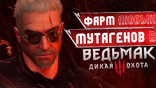 Фарм ЛЮБЫХ мутагенов в The Witcher 3 [upl. by Cirda940]