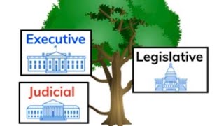 3 Branches of Gov and Rights and Responsibilities of US Citizens [upl. by Xylia]