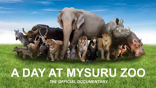 A Day at Mysuru Zoo  official documentary HD [upl. by Nanette870]