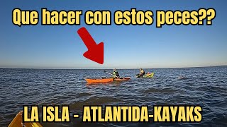 PESCA EN KAYAK EN ATLANTIDA LA ISLA  Estos peces nos enloquecieron  Es Tala Pesca [upl. by Dirgis228]