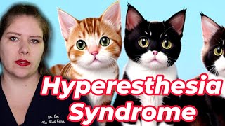 Vet Advice on Identifying and Treating Feline Hyperesthesia Syndrome [upl. by Candra567]