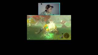 Comment tuer rapidement un LYNEL DORÉ  Tuto THE LEGEND OF ZELDA BREATH OF THE WILD  MODE EXPERT [upl. by Donia]