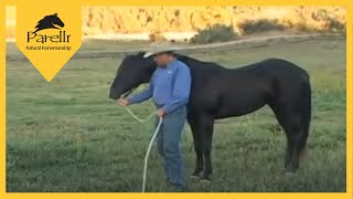 Parelli Natural Horse Training Tip  Pat Parelli shows how to lead a horse [upl. by Xonel226]