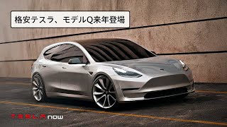 【速報】格安テスラが2025年に登場予定 [upl. by Assiron446]