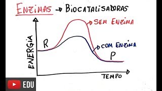 Proteínas  Enzimas [upl. by Aicrag]