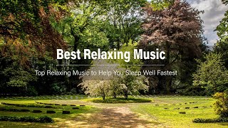 BEAUTIFUL RELAXING MUSIC  Stop Overthinking Stress Relief Music Sleep Music Calming Music 26 [upl. by O'Shee]