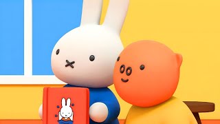 Miffy Learns to Read  Miffy  Cartoons for Children  Miffys Adventures Big amp Small [upl. by Schlosser392]