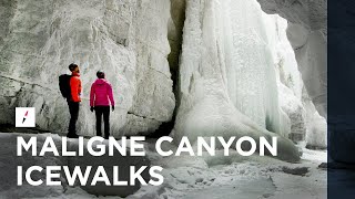 Maligne Canyon Icewalks  Jasper National Park [upl. by Yrffoeg704]