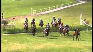 Punchestown Banks Guide [upl. by Erait]