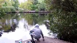 FishingWirralcouk Royden Park [upl. by Cardew401]