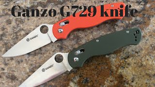 Ganzo G729 knives Green and Orange Review [upl. by Okiram]