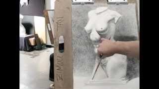 Zimou Tan  Art  Step by step how to draw torso with crosshatching drawing demo [upl. by Llerrad]