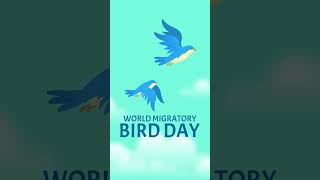 Migratory Birds  Nature  World Migratory Bird Day birds [upl. by Anoiek]