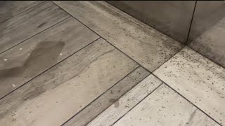 Its inhumane  Buckhead residents frustrated after building infested with gnats [upl. by Damali445]