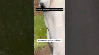 What is Emotional Horsemanship [upl. by Peta301]