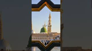 Hamary pyare Nabiﷺ  islamic muslim naatsharif [upl. by Nierman533]