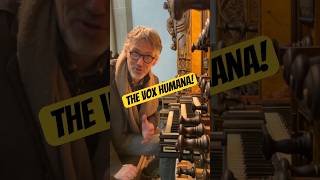 De Vox op z’n mooist How to use the Dutch Vox Humana marcodentoom organ organist shorts [upl. by Ime]