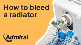 How to bleed a radiator  Admiral UK [upl. by Winny233]