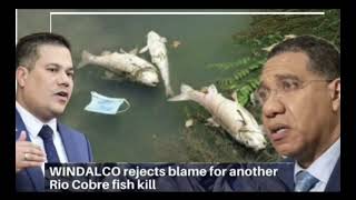 andrew pay fisherfolk 130thousands not to sue the govament for the rio cober fish kill [upl. by Elnore]