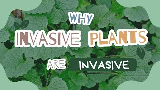 Why Invasive Plants are Invasive [upl. by Astor]