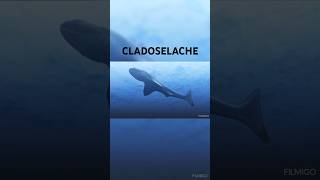 CLADOSELACHE [upl. by Wirth]