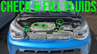 How to Check and Fill Fluids COMPLETE GUIDE  Kia Soul 20142019 [upl. by Ahsilak]